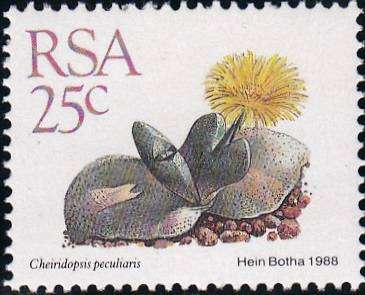 RSA 1988: 5th DEF ISSUE SUCCULENTS FULL SET OF 15 MNH (SACC 668-682)
