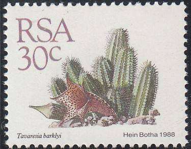 RSA 1988: 5th DEF ISSUE SUCCULENTS FULL SET OF 15 MNH (SACC 668-682)
