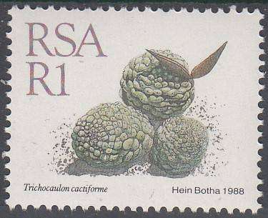 RSA 1988: 5th DEF ISSUE SUCCULENTS FULL SET OF 15 MNH (SACC 668-682)