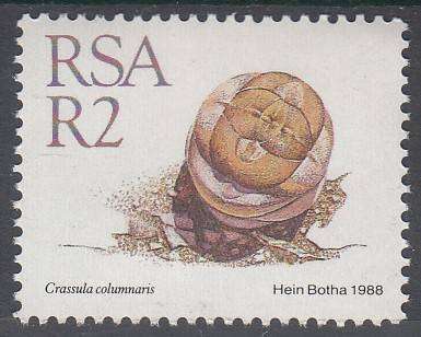 RSA 1988: 5th DEF ISSUE SUCCULENTS FULL SET OF 15 MNH (SACC 668-682)