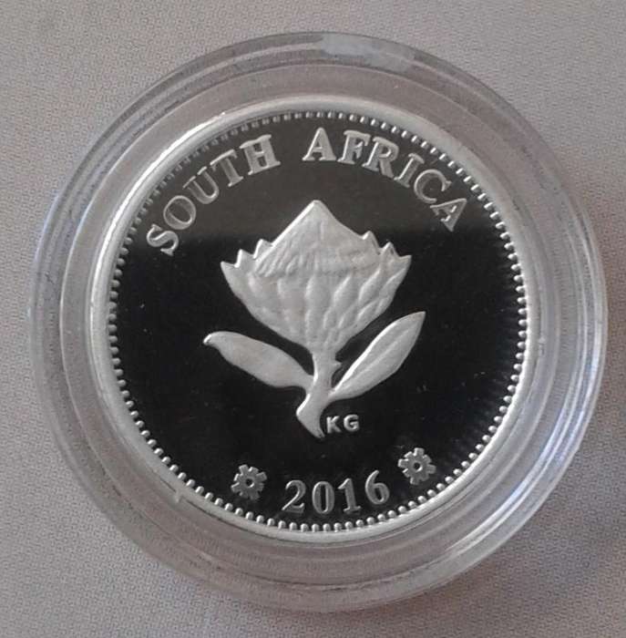 2016 Dolos proof silver 2 1/2c in S.A Mint pouch incl.certificate
