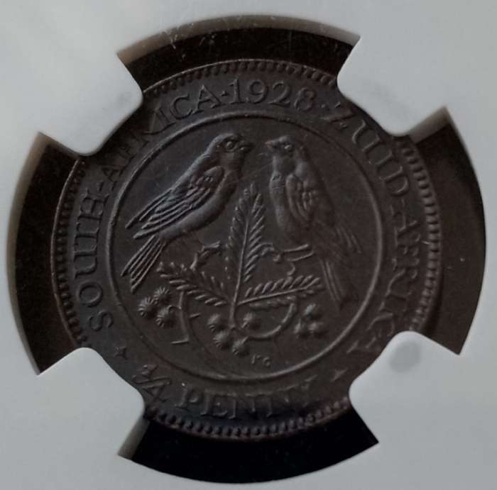 Lower mintage 1928 union 1/4 Penny NGC MS63 BN