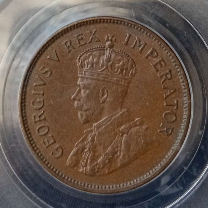 1929 Union 1/2 penny PCGS AU58 (high grade) - Only 6 coins graded higher
