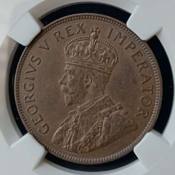 1929 Union penny NGC AU55 BN