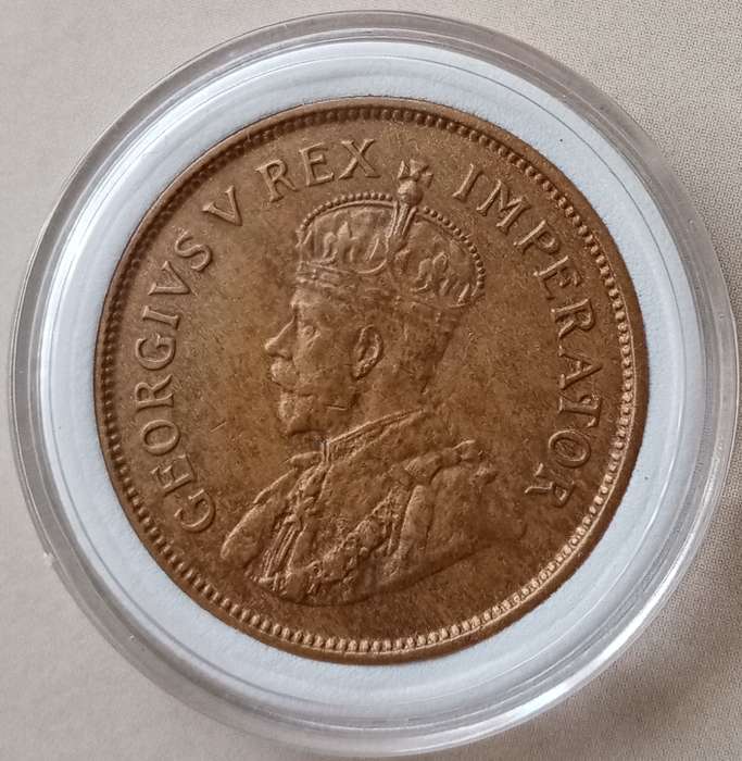 High grade 1929 union 1/2 Penny in AU