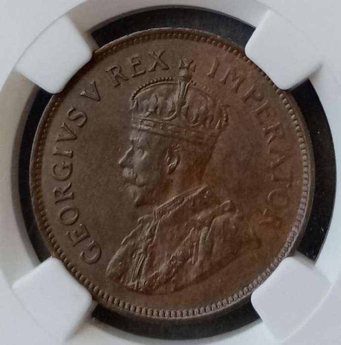 High grade 1928 Union 1/2 penny NGC AU55 BN