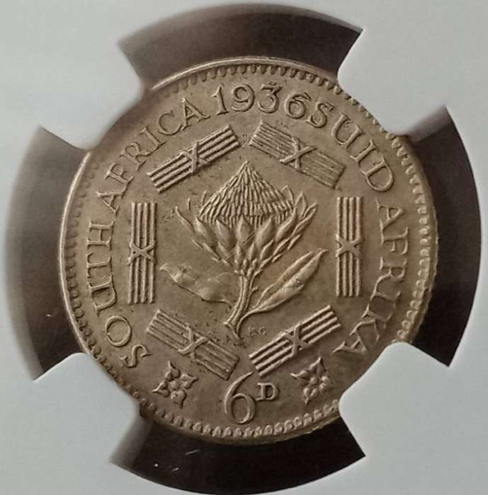 High grade 1936 union silver sixpence NGC AU55