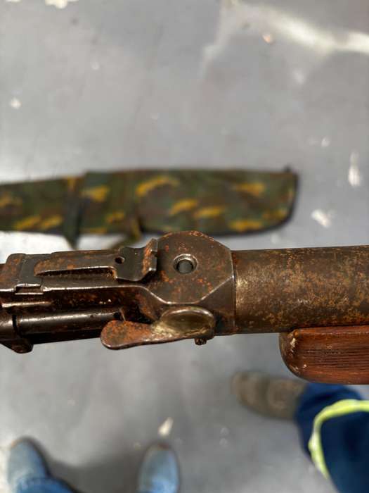 Pellet gun - vintage