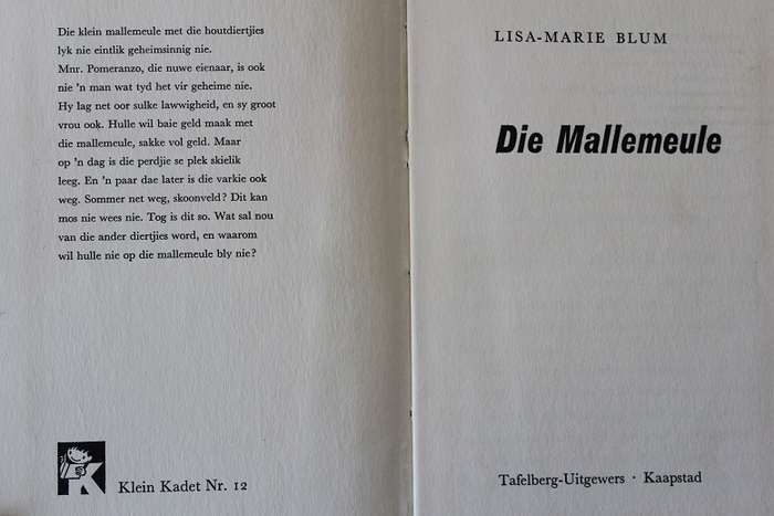 Die Mallemeule deur Lisa-Marie Blum. Klein kadet nr. 12. Jeugboek