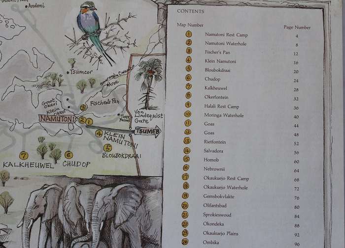Etosha Experience by Anna Louise and Christine Marais