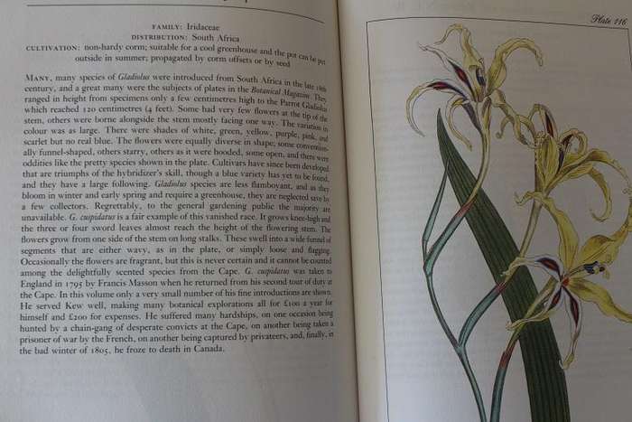 Curtis's Flower Garden Displayed by T. Whittle and C. Cook. 120 Plates from the years 1787-1807
