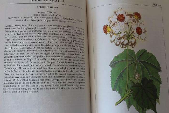Curtis's Flower Garden Displayed by T. Whittle and C. Cook. 120 Plates from the years 1787-1807