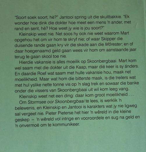 Stormsee oor Skoonbergbaai deur Pieter Pieterse