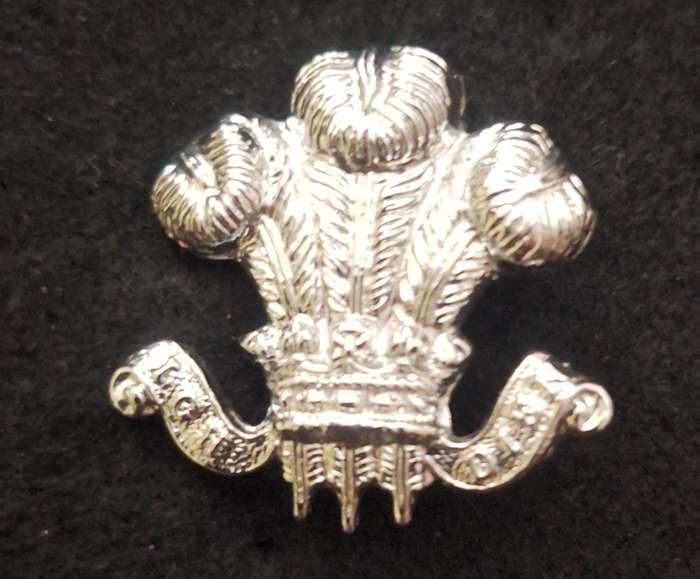 BRITAIN - UNKNOWN MILITARY BADGE - LUGS INTACT