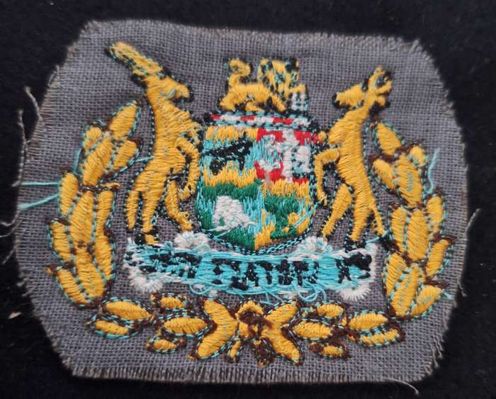 SADF - WO2 (SINGLE) RANK BADGE
