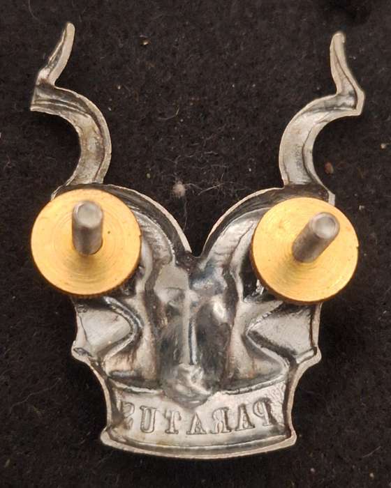 SWATF - AREA FORCE CAP BADGE - SCREWS INTACT