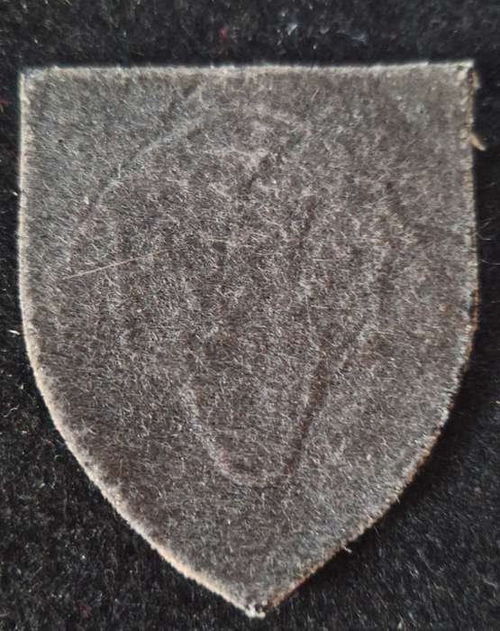 SADF / SANDF - NUTRIA PRIDE OF LIONS SHOULDER FLASH