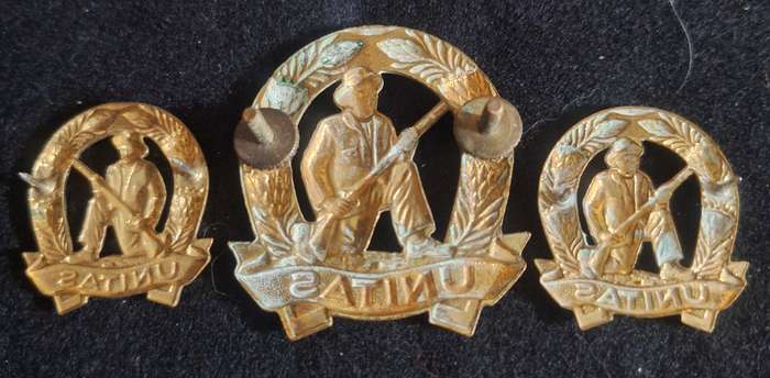 SADF - GILDING COMMANDO (UNITAS) CAP AND COLLAR BADGES SET - SCREWS / PINS INTACT