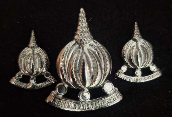 SADF Financial Services Cap and Collar Badges - Pins / Screws Intact