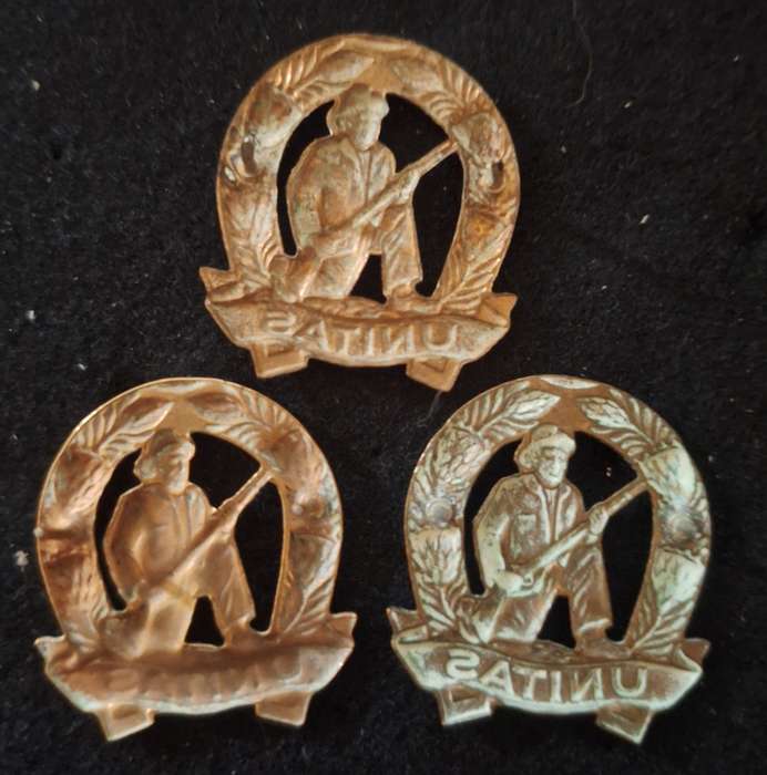 LOT OF 3 X GILDING SADF COMMANDO UNIT COLLAR BADGES - ALL SCREWS LUGS AND PINS INTACT