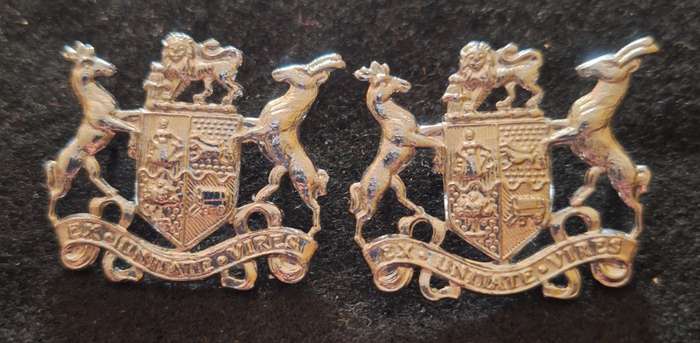 SADF - ARMY WO2 RANK BADGE PAIR - PINS INTACT