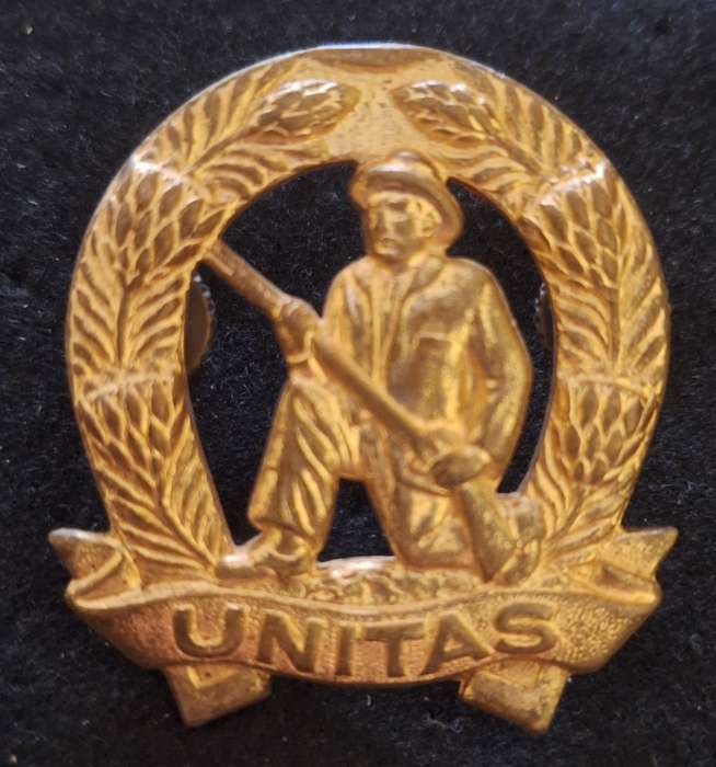 SADF GILDING COMMANDO UNIT CAP BADGE - SCREWS / INTACT