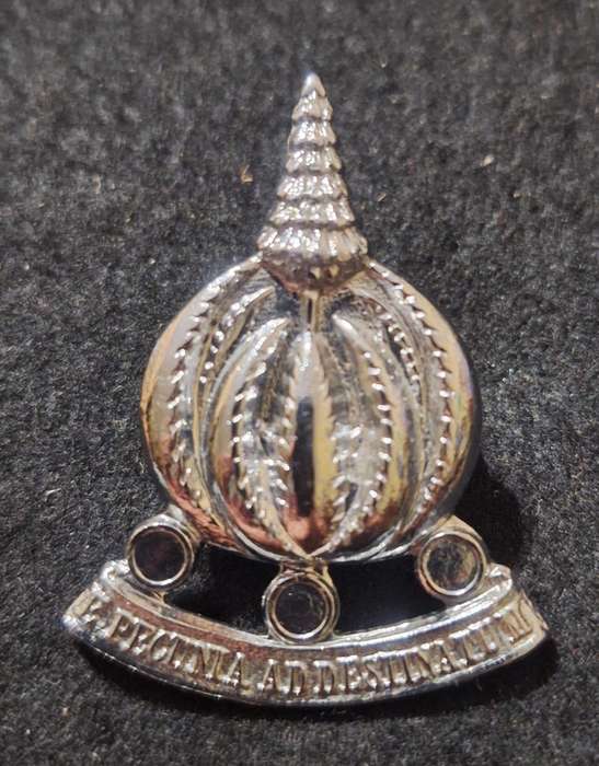 SADF - FINANCIAL SERVICES CAP BADGE - SCREWS INTACT