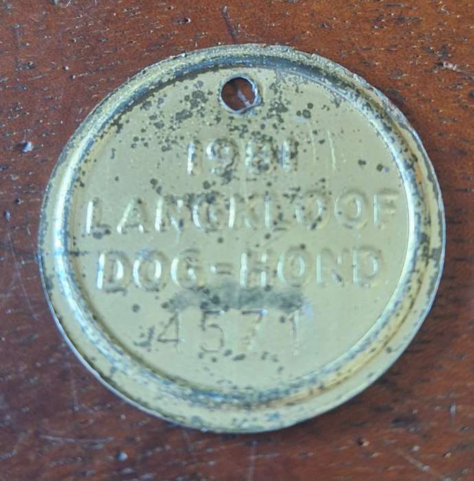 VINTAGE 1981 DOG LICENCE / TOKEN - LANGKLOOF