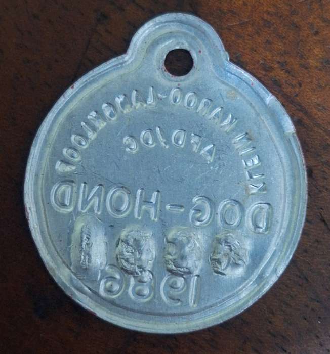 VINTAGE 1986 DOG LICENCE / TOKEN - LANGKLOOF