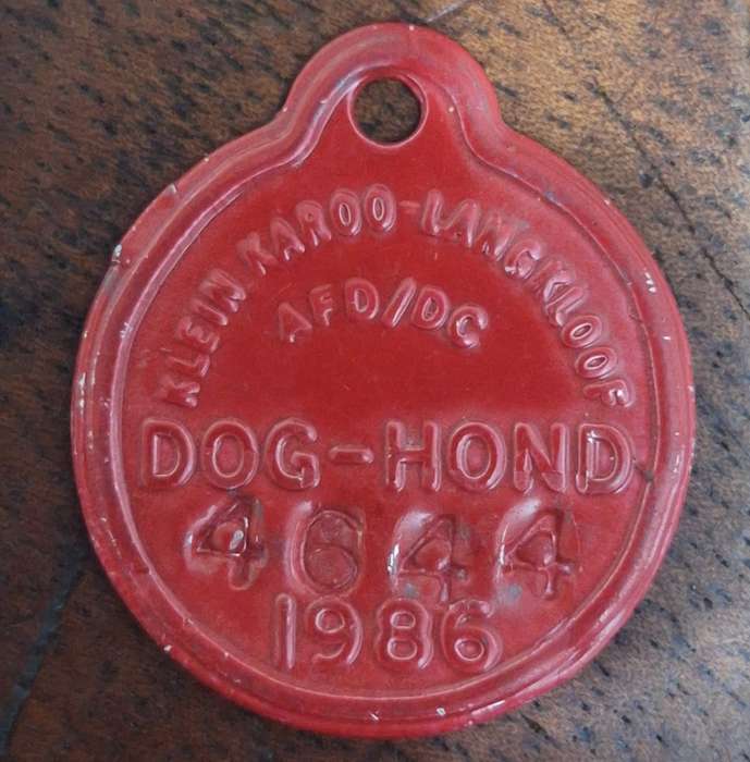 VINTAGE 1986 DOG LICENCE / TOKEN - LANGKLOOF