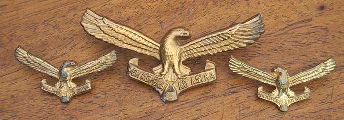 SAAF CAP AND COLLAR BADGES SET - SCREWS / PINS INTACT