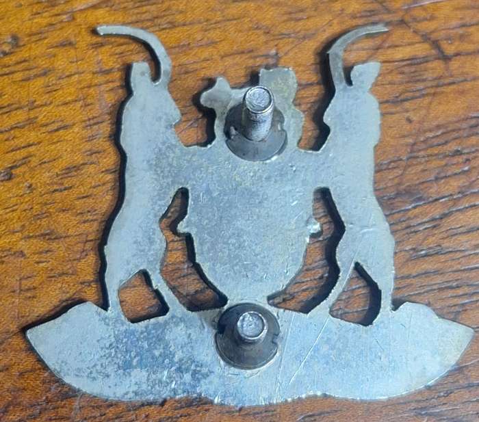 JOHANNESBURG SECURITY CAP BADGE