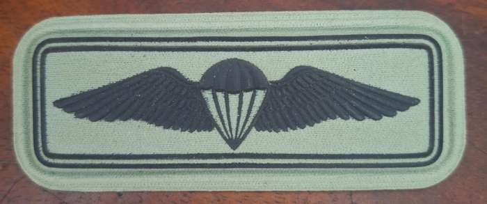 SANDF - PARA WING (FIELD DRESS) - ALL PINS INTACT