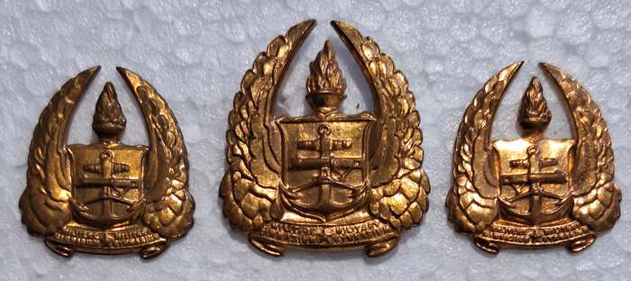SADF - ARMY GYMNASIUM GILDING CAP AND COLLAR BADGE SET - SCREWS AND PINS INTACT