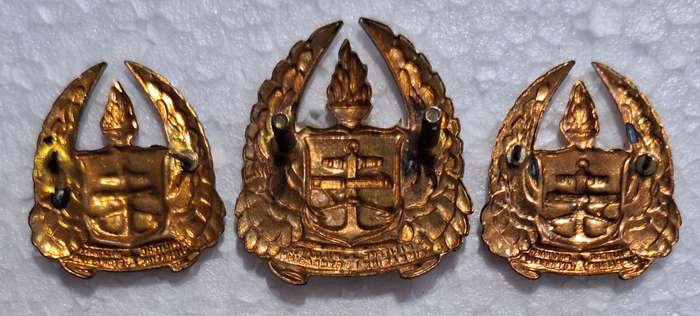 SADF - ARMY GYMNASIUM GILDING CAP AND COLLAR BADGE SET - SCREWS AND PINS INTACT