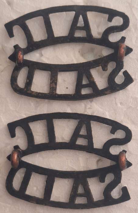 SAUDF - SAIC / SAID (INSTRUCTIONAL CORPS) SHOULDER TITLE PAIR.
