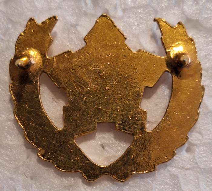 SADF - 5 YEAR VOLUNTEER SERVICE BADGE (ARMY) - PINS INTACT
