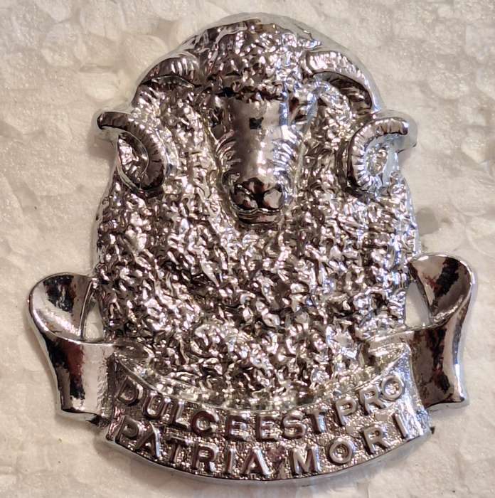 SADF - REGIMENT GROOT KAROO CAP BADGE - SCREWS INTACT