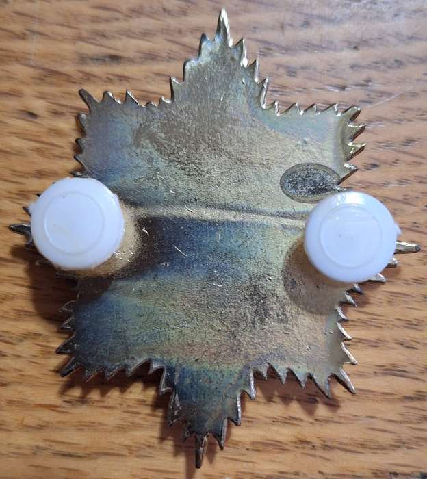 KLOOF PROTECTION SERVICES CAP BADGE - PINS INTACT
