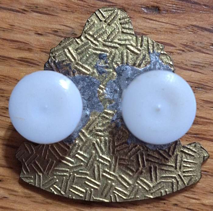 PIETERMARITZBURG  BADGE - PINS INTACT (1)