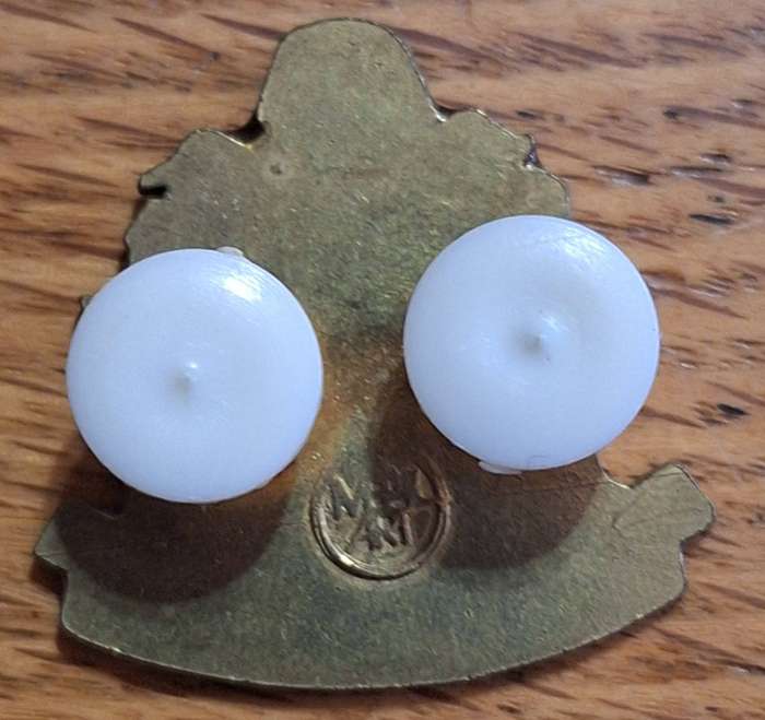 PIETERMARITZBURG  BADGE - PINS INTACT (2)