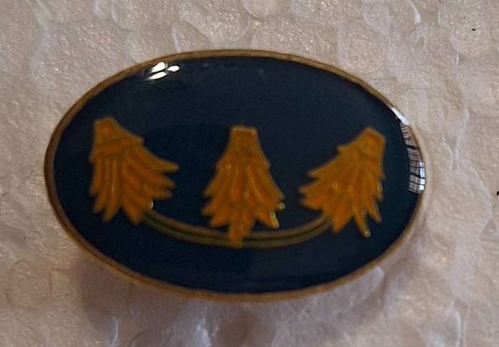 SADF - TSC / TDK FAR NORTH COMMAND BERET BUTTON BADGE