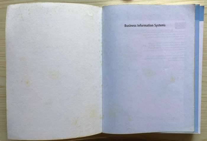 Business Information Systems : Technology, Development & Management by Bocij et al.  (2nd Ed.)