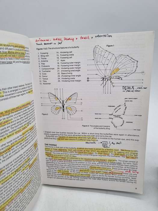 Ivor Migdoll`s Field Guide to the Butterflies of Southern Africa | Over 620 Photographs