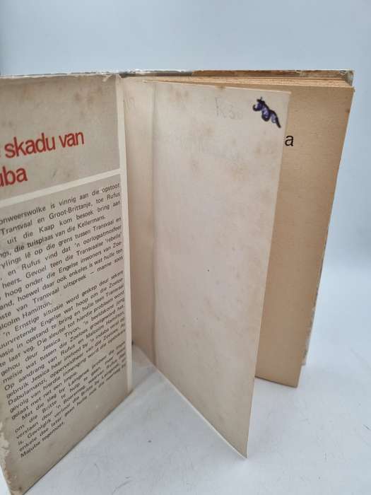 In die skadu van Majuba deur Rein Pretorius
