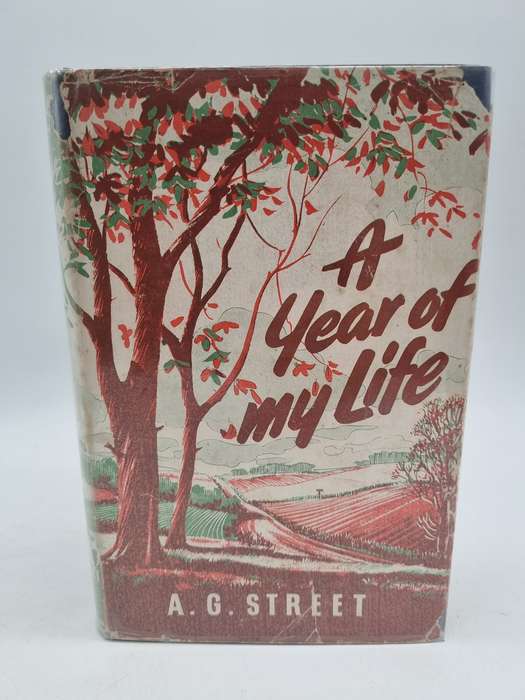A Year of My Life by AG Street