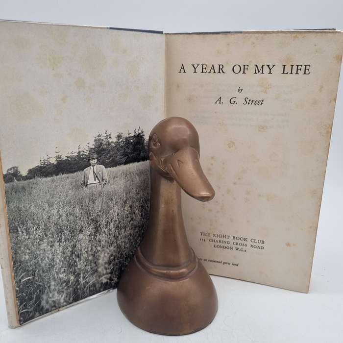 A Year of My Life by AG Street