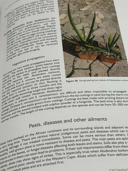 Tree Aloes Of Africa - Ernst Van Jaarsveld & Eric Judd | NEW
