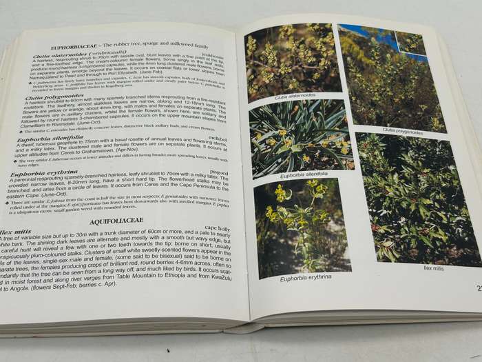 Stellenbosch to Hermanus SA Wildflower Guide No 5 - Anne Bean and Amida Johns