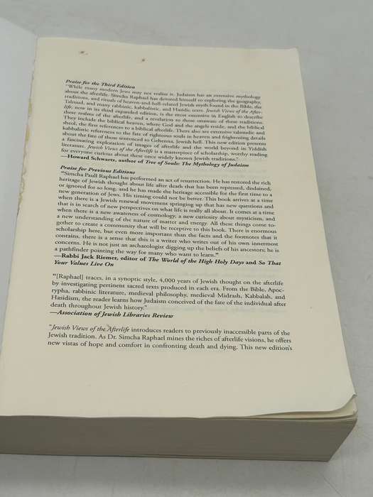 Jewish Views of the Afterlife by Simcha Paull Raphael Third Edition